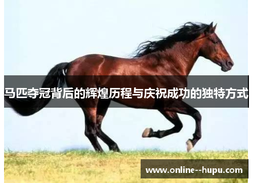 马匹夺冠背后的辉煌历程与庆祝成功的独特方式